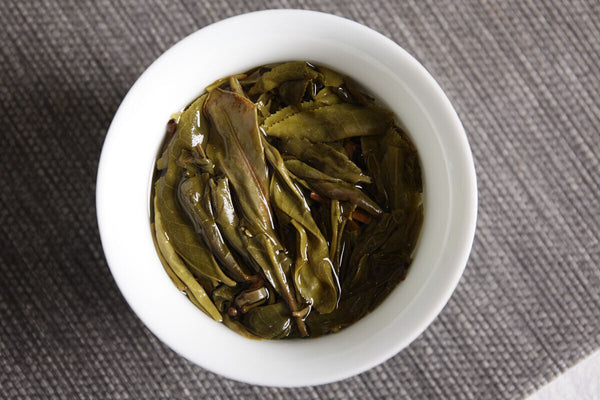 Yunnan Puerh Tea Early Spring Daxueshan Longzhu Qiaomu Raw Tea Loose 500g