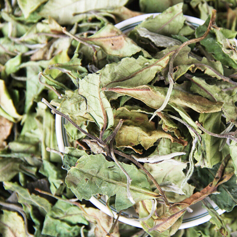 500g Bulk White Tea Top Yunnan Big Leaf Honey Flavour White Tea Health