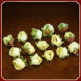 Handpicked natural Organic Green Calyx Plum - Authentic Dried Flower Buds