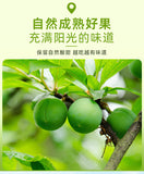 Candied Plums Small Packaging Snacks Sweet and Sour Green Plums Preserved Plums