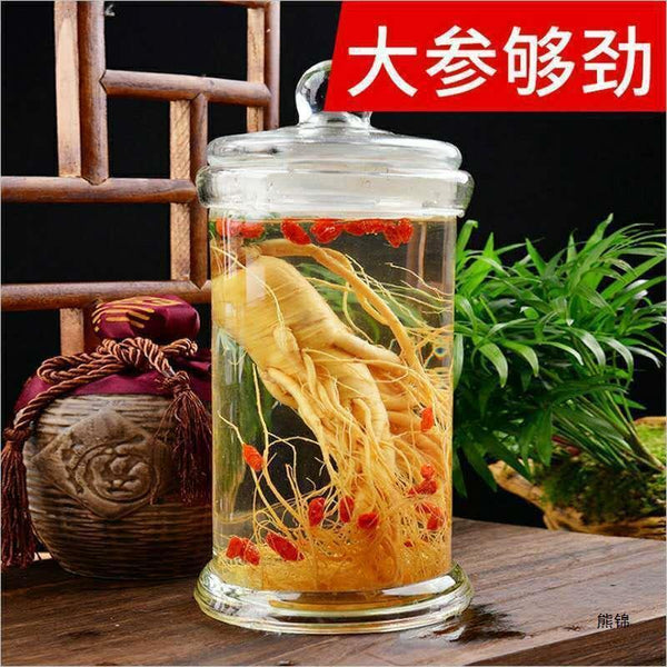 Good for Wine Soaking and Soup Premium Fresh Wild Ginseng from Changbai Mountain