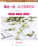 Guangxi Dried Jasmine Flowers Bulk New Jasmine Tea Leaves Flower Tea 500G