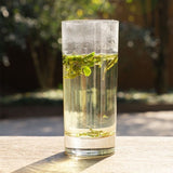 2025 Longjing Green Tea Broken Leaves Fragrant Loose Leaf Premium Green Tea