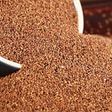 Organic Dried Dodder Seed, Chinese Dodder Seed, Semen Cuscutae, Tu Si Zi