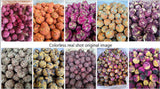 18pcs Factory Supplier Cheap Price Whole Flower Tea Ball OEM Gift Package