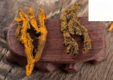 High Quality/黄莲/黄连/Huang Lian/Rhizoma Coptidis Goldthread /Dried 150g