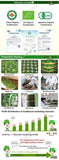 250g Spring Grade Phoenix Dancong Tea longitudinal Tea Feng Huang Dan Cong Tea