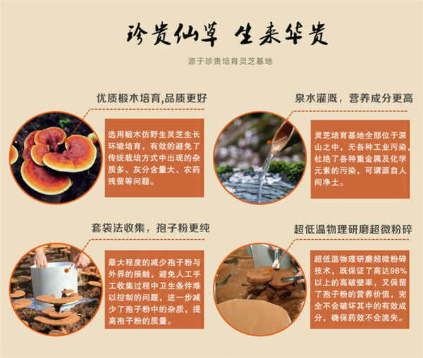 Wild Ganoderma Lucidum Tea 500g Reishi Spore Powder Chinese Herbal Premium