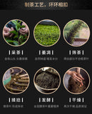 Jinjunmei Fujian Wuyishan Min Black Tea Tea Bagged Tea 16 Packs/Box 80g
