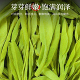 2025 Fresh Longjing Green Tea Rich Aroma Zhejiang Origin Durable Brew