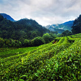 250g Da Hong Pao Tea Big Red Robe Oolong Tea Weight Loss Black Tea Dahongpao Tea