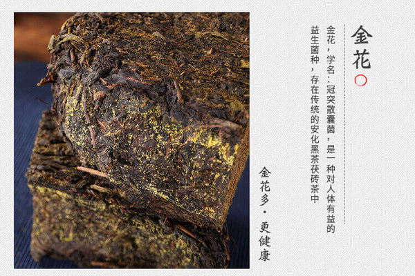 208g Hunan Anhua black tea authentic golden flower hand-built por brick tea