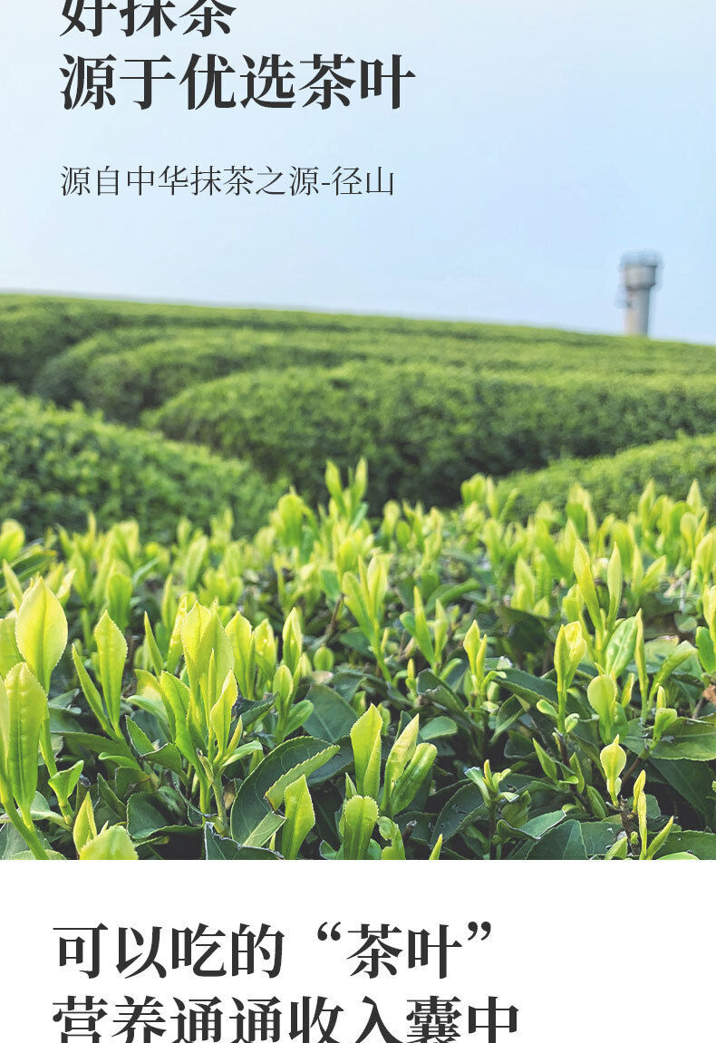 Pure Matcha Powder Steamed Green Tea Baking Pastry Instant Green Tea Powder 100G