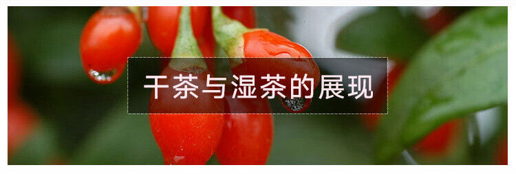 130g flower tea goji berry bottled flower and herbal healthy tea canned