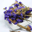 Forget-Me-Not Flower Tea Pure Forget-Me-Not Dried Flowers Bulk