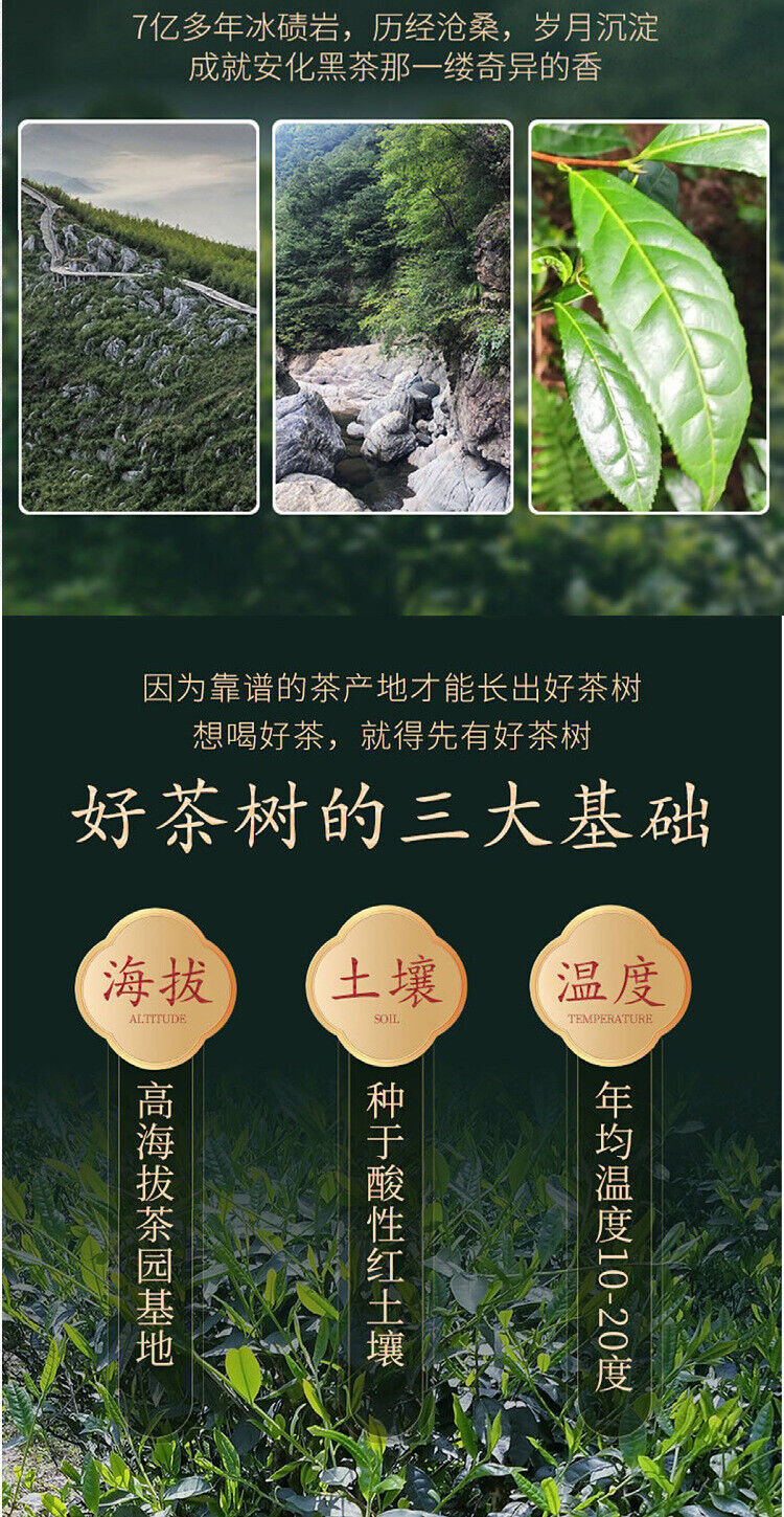 920g Anhua black tea Tianjian Fu brick black tea raw tea golden flower black tea