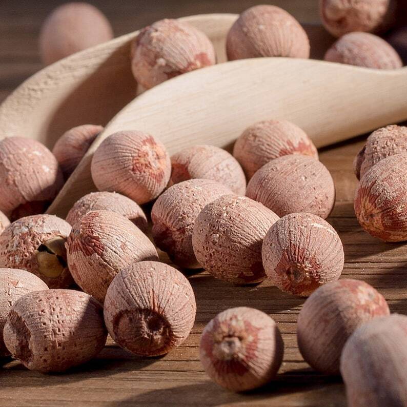 500g 100% Pure Red Lotus Seed Lotus Nut Semen Nelumbinis Chinese Herbs Secondary image