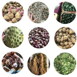 Xanthium Sibiricum Extract 10:1 Cocklebur Powder Herbal Supplement Premium