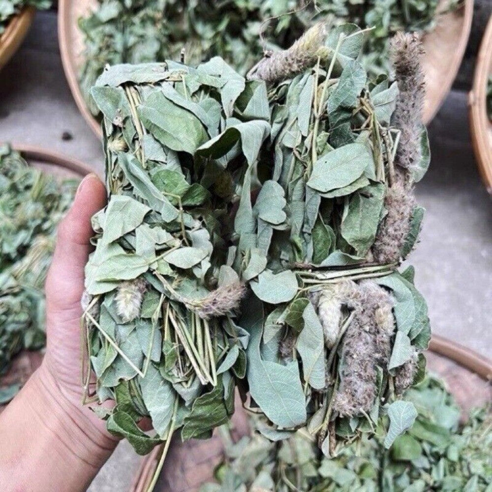 Wild Uraria Crinita Whole Herb 250g Premium Dried Traditional Chinese Medicinal Secondary image