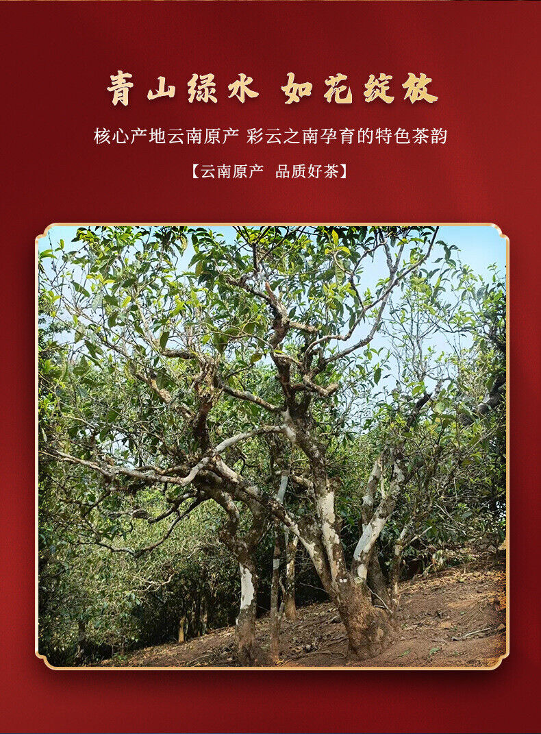 Puerh Tea Brown Mountain Banzhang Pure Material Puerh Ripe Tea Cake 357g/12.59oz