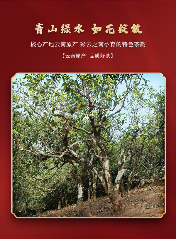 Puerh Tea Brown Mountain Banzhang Pure Material Puerh Ripe Tea Cake 357g/12.59oz