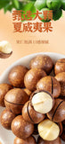 New Macadamia Nuts | Milk Flavor, Large Size, With Shell Opener, Snack