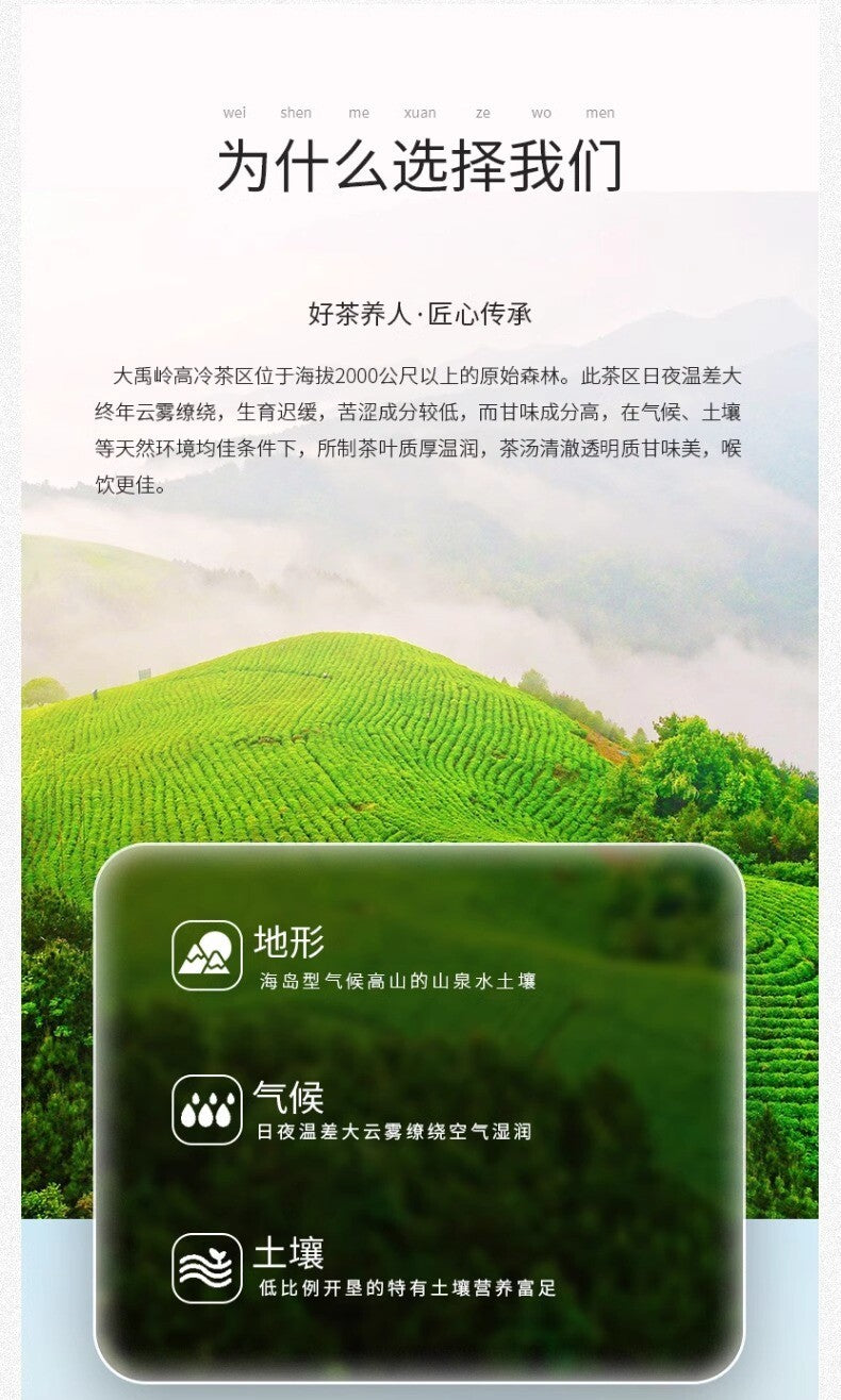 Tung-ting Tea Taiwan Oolong Tea High-mountain Tea 600g Dayuling Lishan Tea