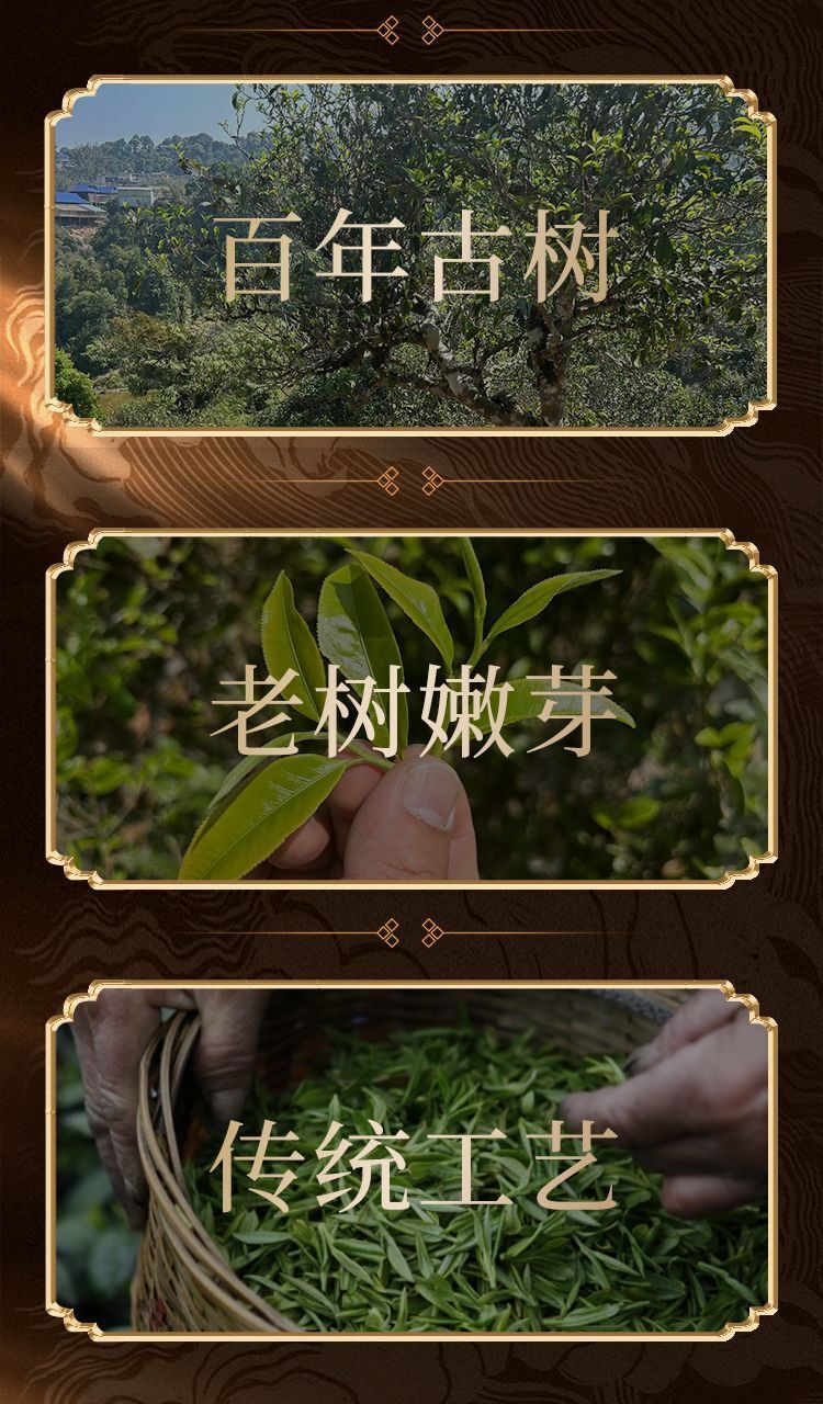 Yunnan Authentic Puerh Raw Tea Iceland Ancient Tree Spring Tea Raw Tea 357g