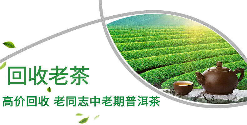 Old Comrade Puerh Tea Cake 9928 Large Leaf Seed Sun-dried Mao Puerh Raw Tea 357g