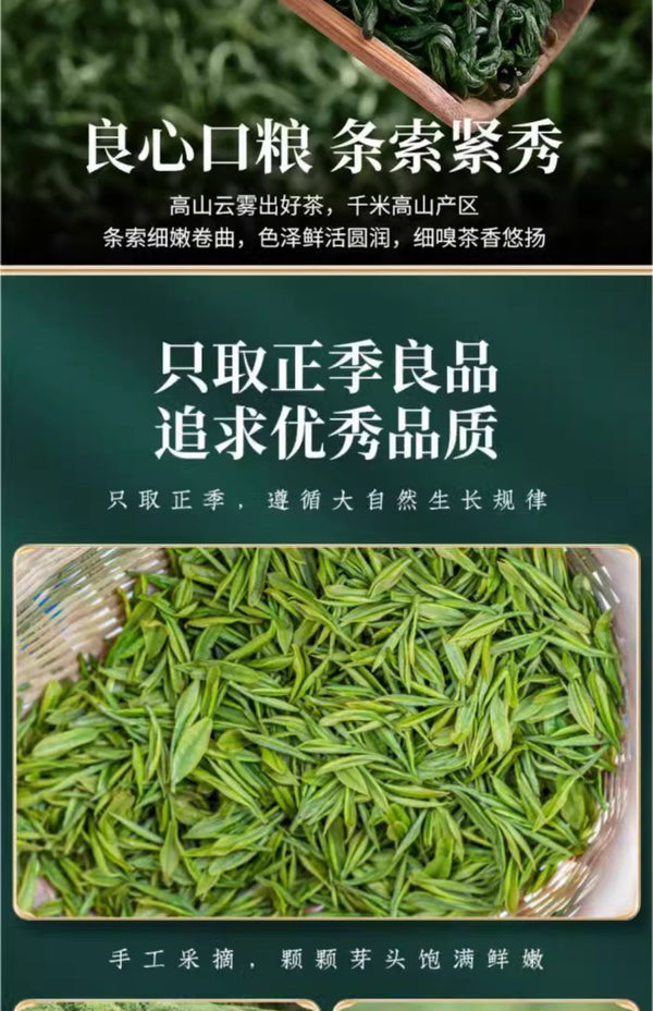 High Mountain Cloud Tea 2025 New Spring Green Tea Fragrant Maojian Loose Leaf