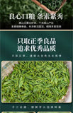 High Mountain Cloud Tea 2025 New Spring Green Tea Fragrant Maojian Loose Leaf