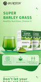 Meal replacement barley seedling green juice powder