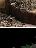 Purslane Tea Healthy Herb Tea Bag 160g/40 Bags