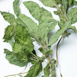 Dried Flower Tea Peppermint Tea Healthy and Natural Mint Herbal Loose Tea