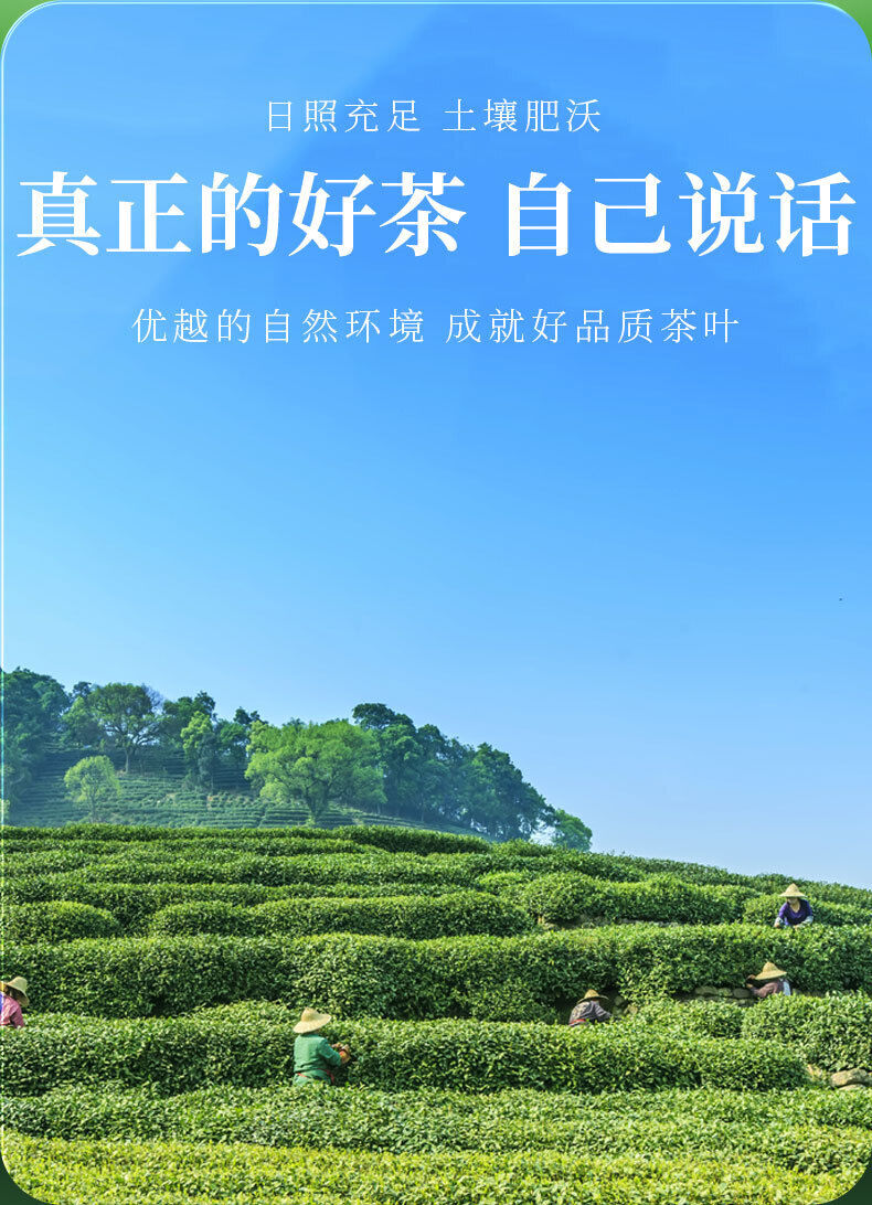 256G  Fresh Fried Green Tea Loose Bagged Tea Sweet and Durable New Tea