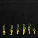 60g Selected from Jiangxi Lotus Core Lotus Heart Tea Canned and Bagged