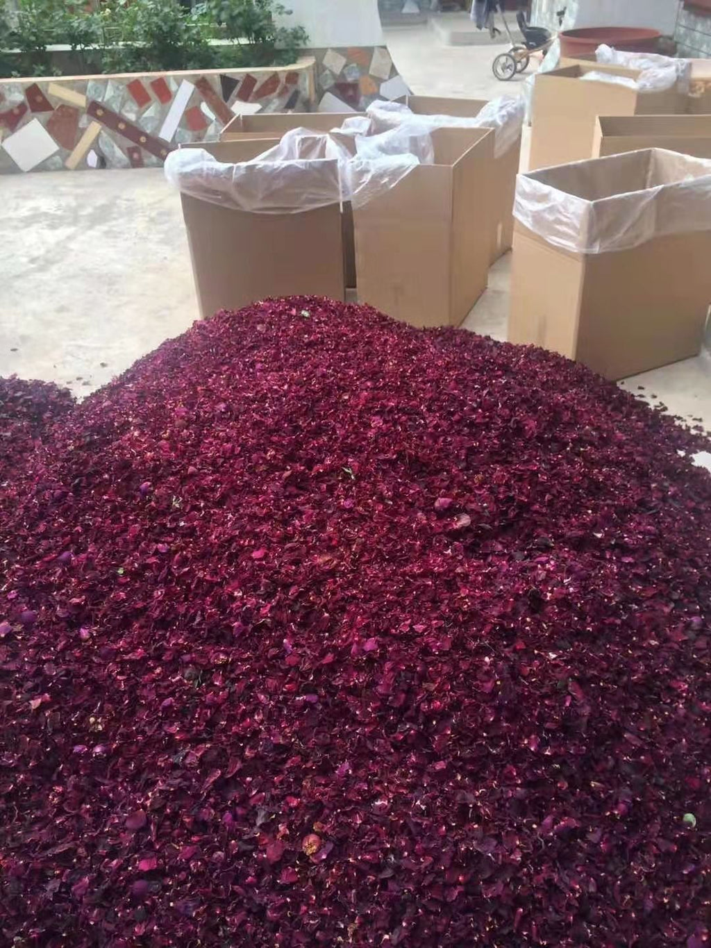 Premium Ink Red Rose PetalsEdible PetalsBulk French Ink Red Roses