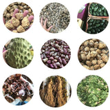 Xanthium Sibiricum 10:1 Extract Powder (Cocklebur) Herbal Supplement