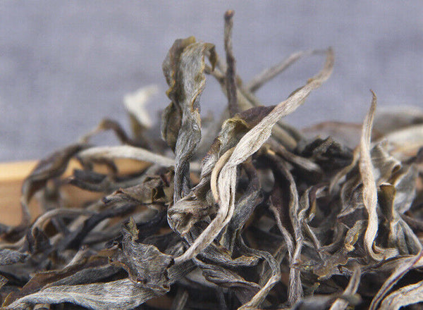 500g Pu-erh Raw Tea Loose Tea 凤凰山古茶园头春凤凰窝散普