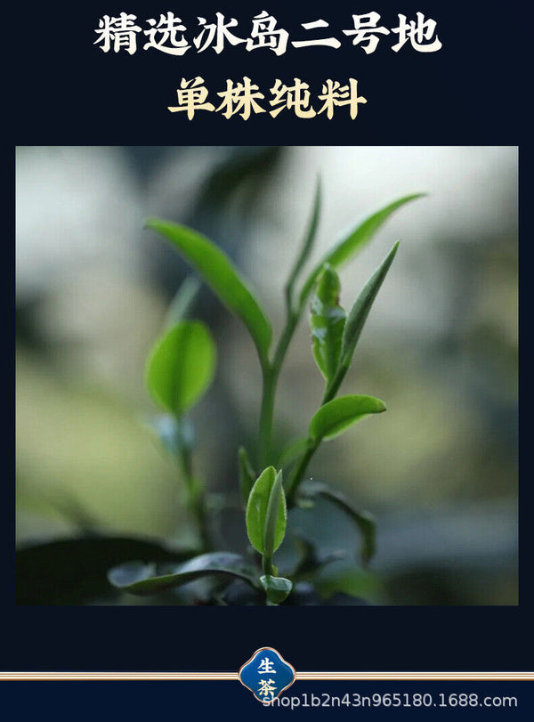 Icelandic Single Plant Single Cake Gift Boxed 357g Raw Tea Ancient Sole Plant