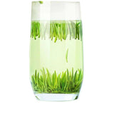 Premium Pre Qingming Xinyang Maojian Green Tea 2025 High Grade Zhushe