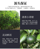 Green Orange Peel Pu-erh Tea Ripe Tea Tangerine Peel Pu-erh Tea Kumquat Pu'er