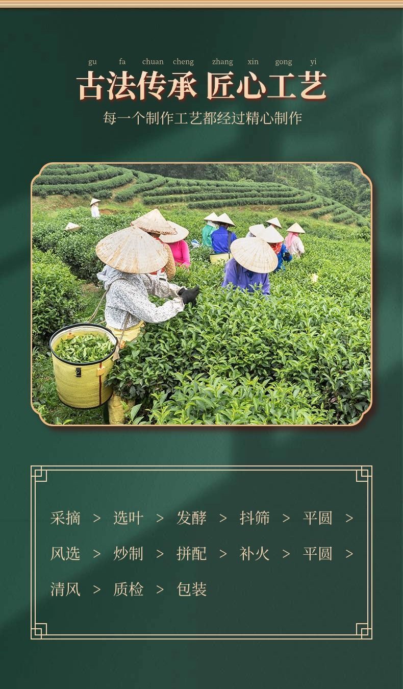 Wuyi Da Hong Pao Oolong Tea Rich Aroma Floral Fujian New Loose Leaf
