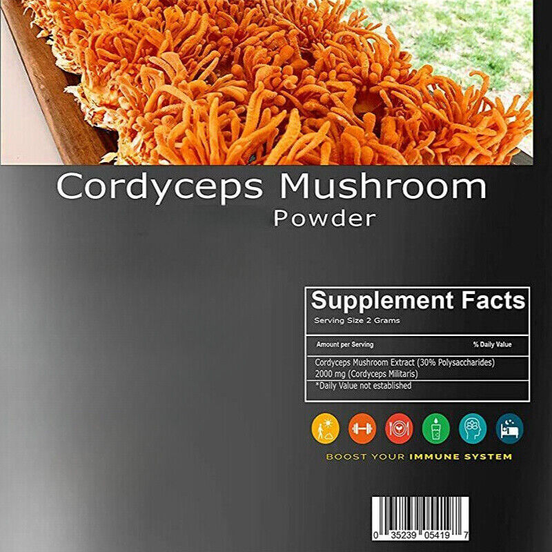 Cordyceps Mushroom Powder 17.6 oz | HELLOYOUNG Main image