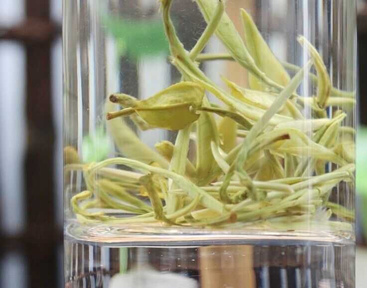 Luzhou-Flavored Single Bud Jasmine Dragon Ball 250g