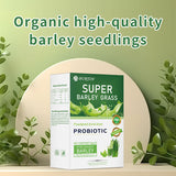 Meal replacement barley seedling green juice powder