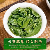 Anxi Tie Guan Yin Oolong Tea 2024 Fresh Aroma Premium Single Pack