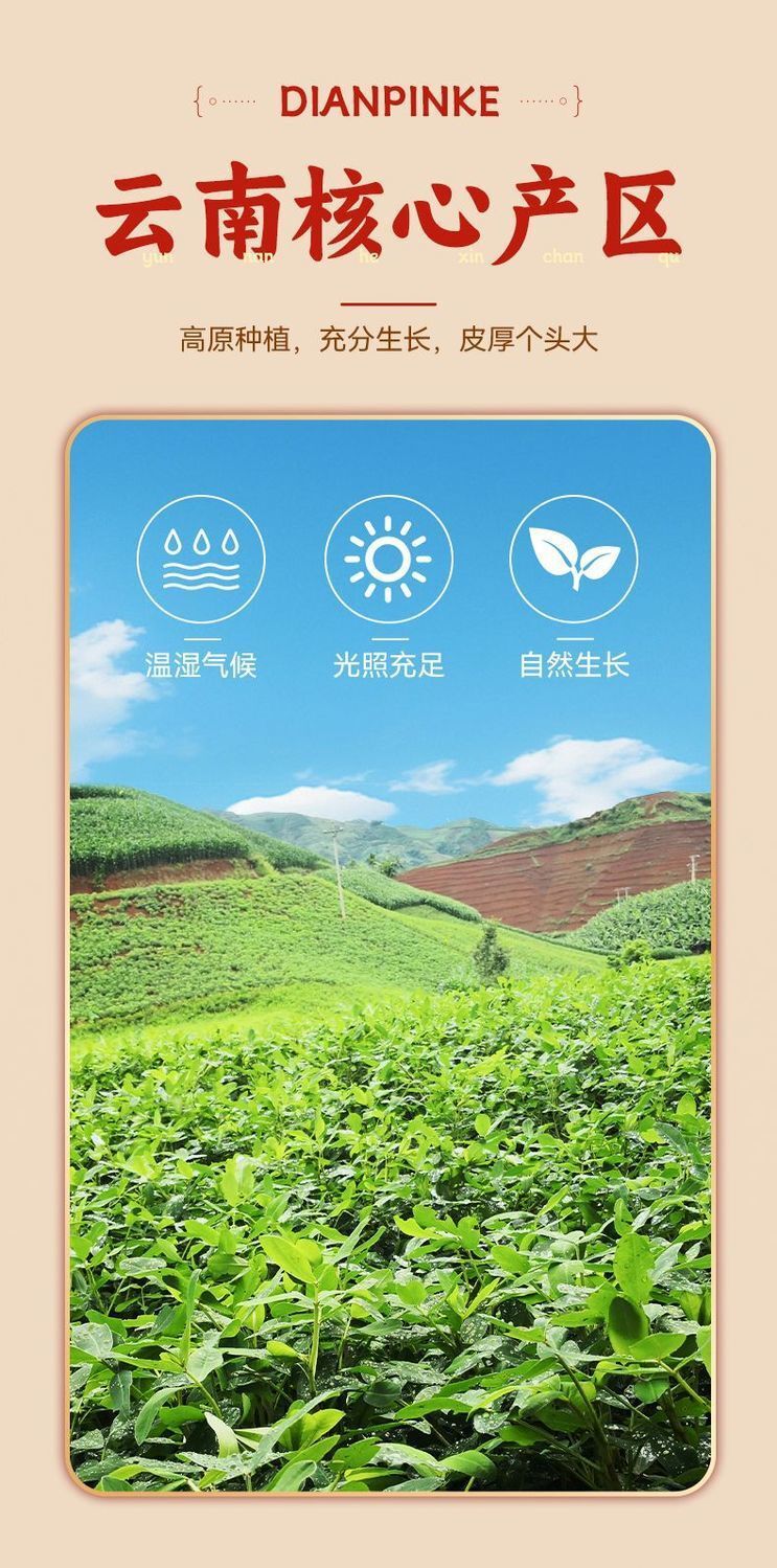 Yunnan Dried Devil Chilies – Intense Heat for Hot Pot & Cooking