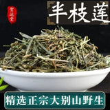 Wild Scutellaria Barbata Herb 100g Premium Sun Dried Fresh Harvested Natural