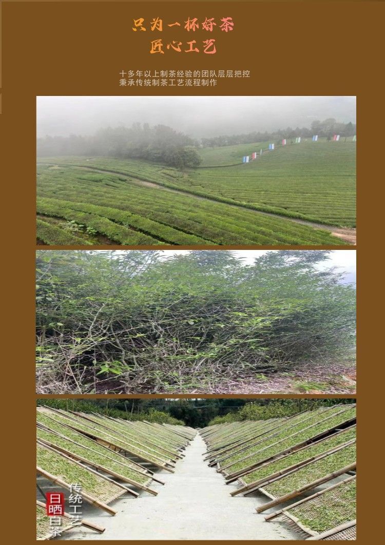 Shou Mei Sun-dried Desert Mountain Date Fragrance Aged White Tea 350g
